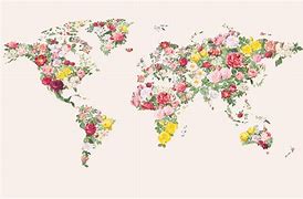 Image result for Flower World Map Colorful