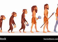 Image result for Evolution Cartoon