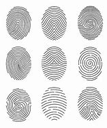 Image result for Fingerprint Line Art