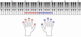 Image result for Fingers On Piano Keys