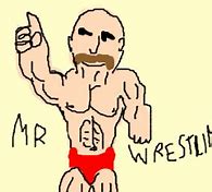 Image result for Mr. Wrestling Wrestler