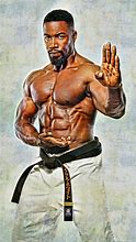 Image result for Martial Arts Fighters