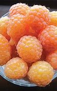 Image result for Raspberry Tree