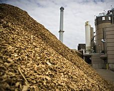 Image result for biomass energy systems