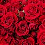 Image result for Valentine Roese