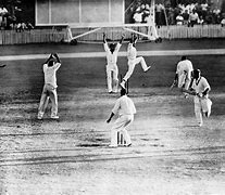 Image result for Cricket Fothcoming Test