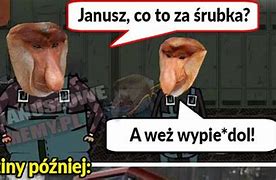 Image result for co_to_za_Żuki