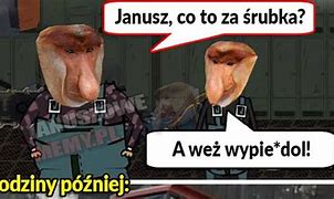Image result for co_to_za_zwierzchów