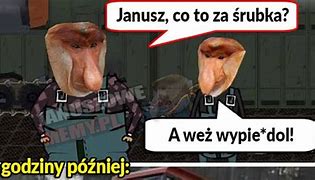 Image result for co_to_za_zstępnica