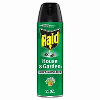 Image result for Raid Bug Spray