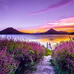 2932x2932 Volcano Sunset Flower Purple Dreamy Landscape 4k 5k Ipad Pro ...