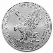 Image result for American Eagle Silver Coins