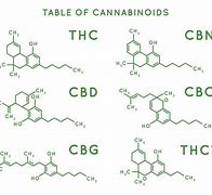 Biletresultat for CBD Molecular Structure