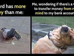 Image result for Why You Should Use Cash Meme