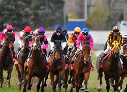 Image result for Racing Card for Today at Ascot