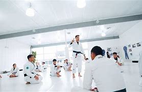 Image result for Jiu Jitsu Back to School Specials