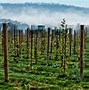 Image result for lehigh valley wineries trails