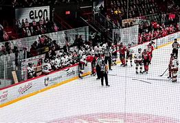 Image result for Finland Ice Hovkey Team