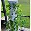 Image result for Vertical Garden Ideas