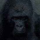 Image result for World Record Gorilla