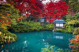Image result for Garden Nikko Japan