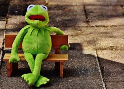 Image result for Kermit Crying Windows Wallpaper