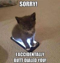 Image result for Really Cute Kitten Memes
