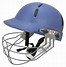Image result for Cricket Helmet India Logo