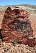 Image result for Petrified Wood Banner