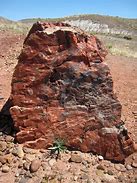 Image result for Petrified Wood Spear Head