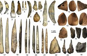 Image result for Neanderthal Tools Authentic