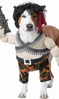 Image result for Funny Dogs in Costumes