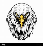 Image result for Eagle Head Vector