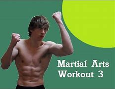 Image result for Martial Arts Workout