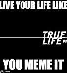 Image result for True Life Meme Shirts