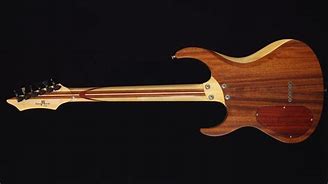 Image result for Mahogany Electric Guitar