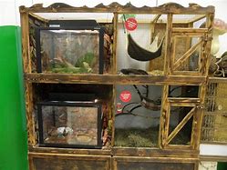 Image result for Terraria Animal Cages
