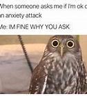 Image result for Awesome Funny Vines