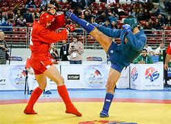 Image result for Sambo Martial Art