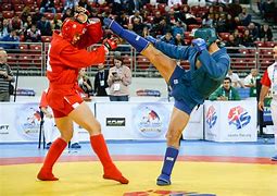 Image result for Sambo Martial Art