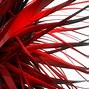 Image result for Black and Red Abstract Wallpaper 4K
