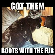 Image result for Boots with the Fur Meme