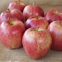 Image result for Topic About Apple