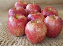 Image result for What Is a Gala Apple