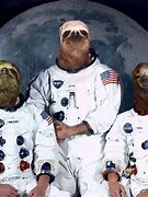 Image result for NASA Sloth