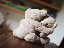 Image result for Teddy Bear Hug