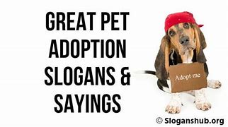 Image result for We Support Dog Adoption Meme