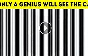Image result for Brain Games Illusions