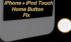Image result for How to Fix the iPhone Home Button
