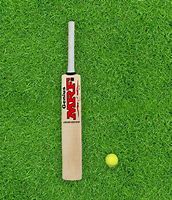 Image result for Tennis Ball Bat